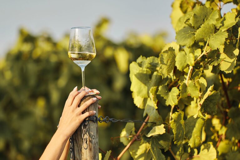 Vin et santé : démêler les bienfaits et les risques avec expertise