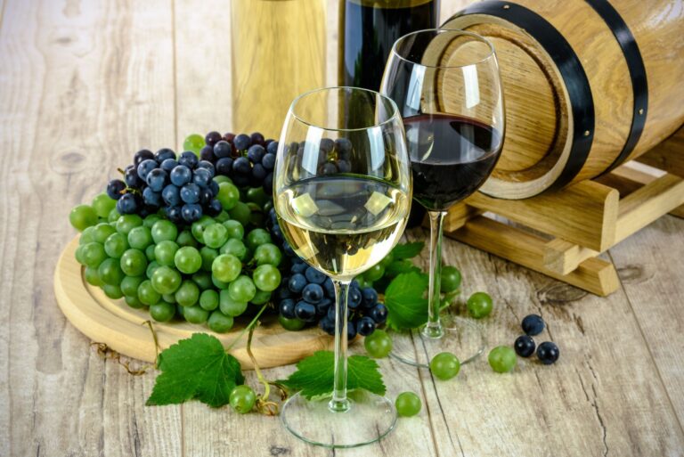 Dégustation vin : guide pour reconnaître et décrire les arômes