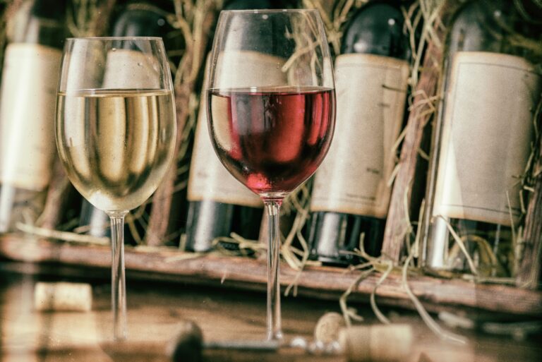 Accords mets vins: maîtrisez les règles essentielles pour sublimer vos repas