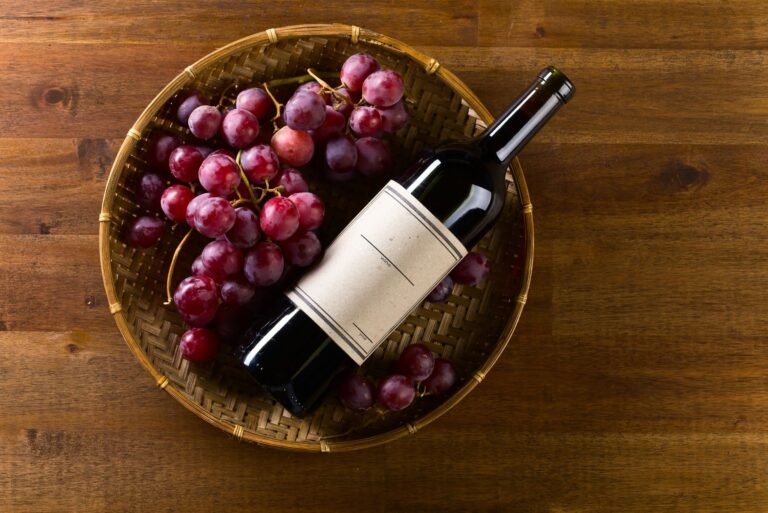 Routes des vins: explorations vinicoles incontournables en France et à travers le monde