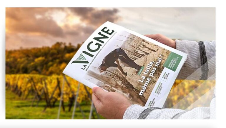 La Vigne : le magazine pour les professionnels du secteur Viti-vinicole