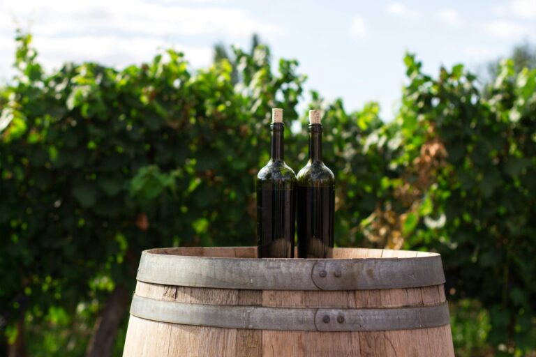 Histoire du vin : les civilisations qui ont façonné son héritage
