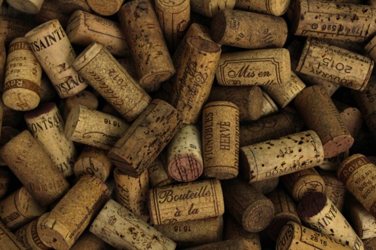 Adaptation des vignerons au climat: défis et régions viticoles les plus touchées