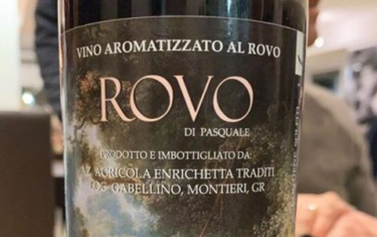 Vin rouge Rovodi Pasquale : caractéristiques, cépages et accords mets-vins à connaître